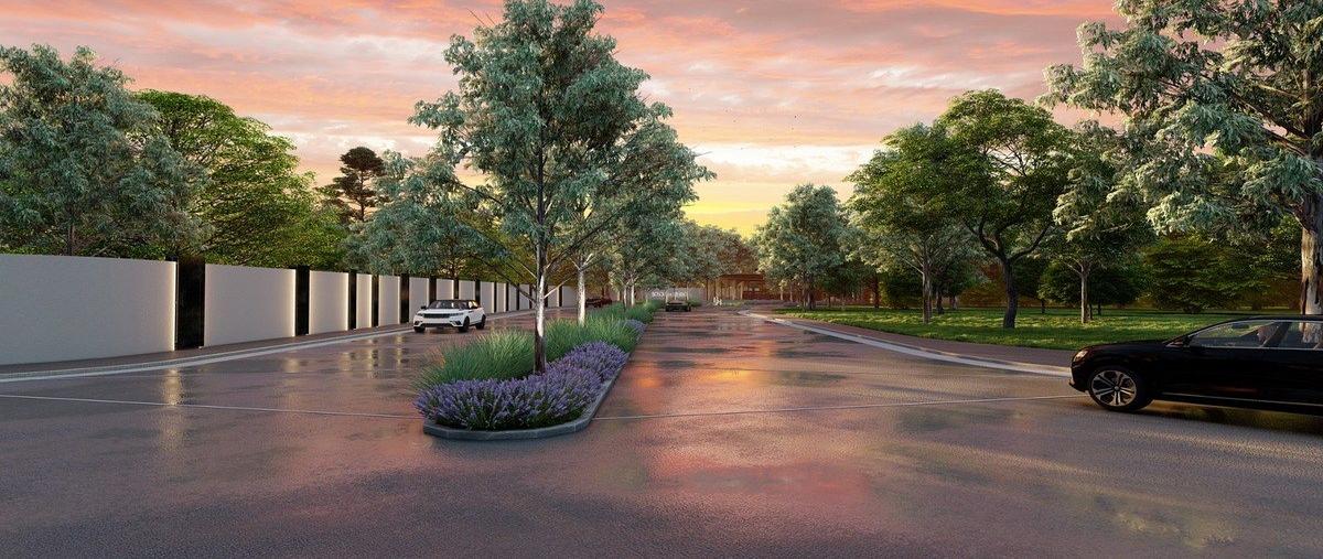 Foto de terreno habitacional en venta en q , cavalia, aguascalientes, aguascalientes, 0 No. 04