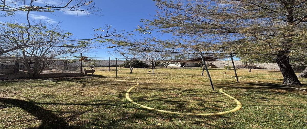 Foto de rancho en q , los pocitos, aguascalientes, aguascalientes, 29314748 foto 04 Foto de rancho en venta en q , los pocitos, aguascalientes, aguascalientes, 29314748 No. 04