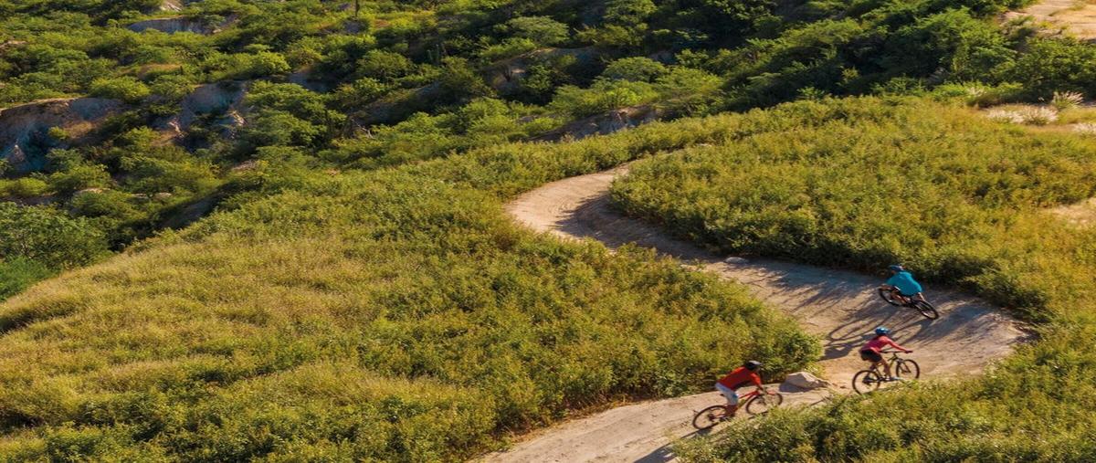 Foto de terreno habitacional en venta en querencia , costa azul, los cabos, baja california sur, 28111156 No. 05