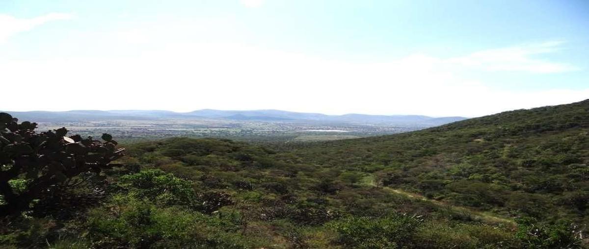 Foto de rancho en venta en queretaro , colón centro, colón, querétaro, 28365770 No. 03