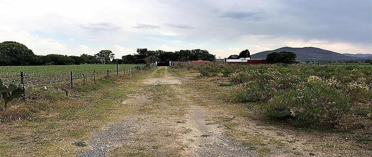Foto de terreno habitacional en venta en  , querétaro, querétaro, querétaro, 27218667 No. 04