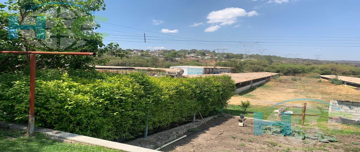 Foto de terreno habitacional en venta en  , querétaro, querétaro, querétaro, 27259619 No. 03