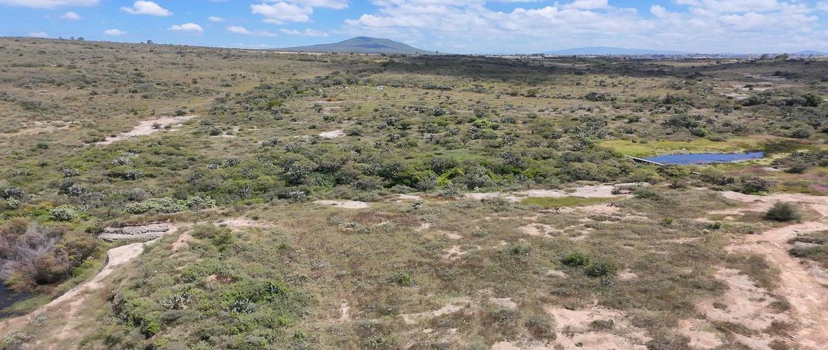 Foto de terreno habitacional en venta en  , querétaro, querétaro, querétaro, 30394342 No. 04