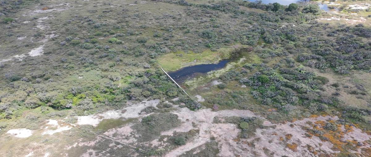 Foto de terreno habitacional en venta en  , querétaro, querétaro, querétaro, 30394342 No. 05
