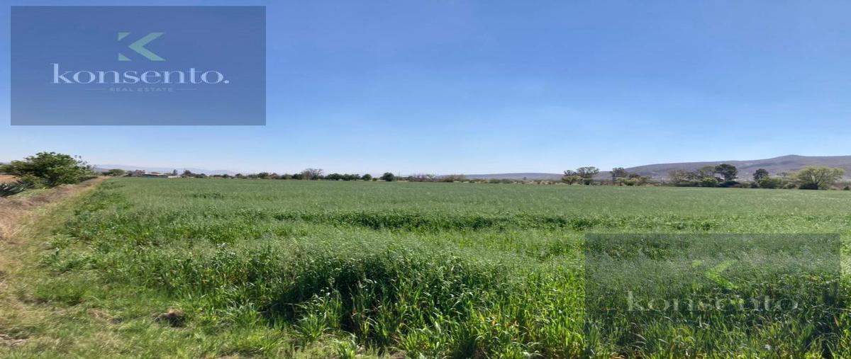 Foto de terreno habitacional en venta en  , querétaro, querétaro, querétaro, 30878627 No. 03