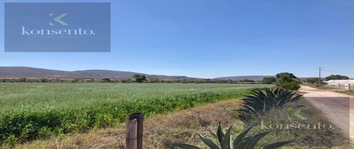 Foto de terreno habitacional en venta en  , querétaro, querétaro, querétaro, 30878627 No. 04