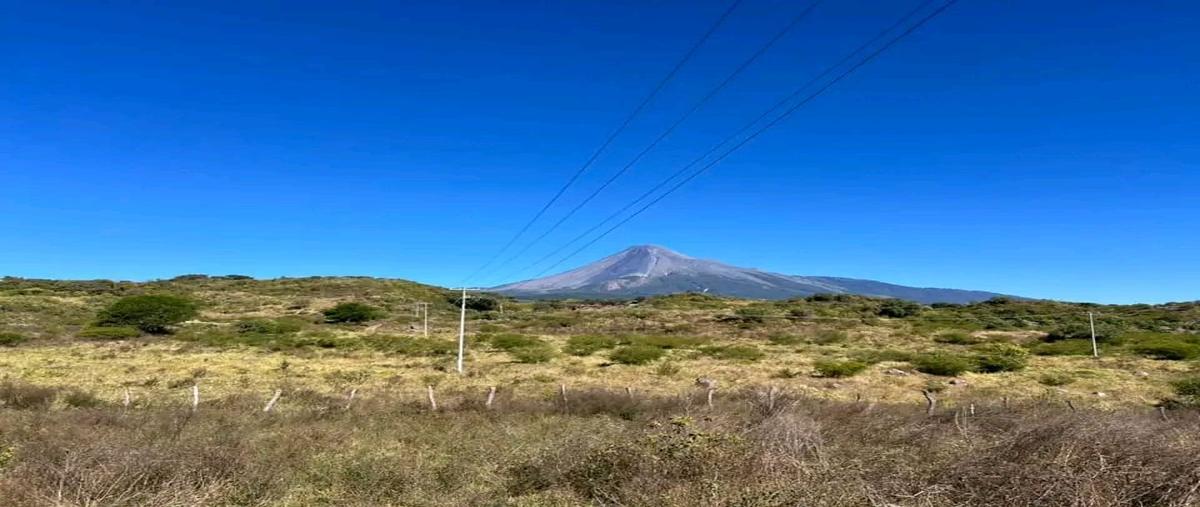 Foto de rancho en venta en quesería , cuauhtémoc, cuauhtémoc, colima, 27615297 No. 04