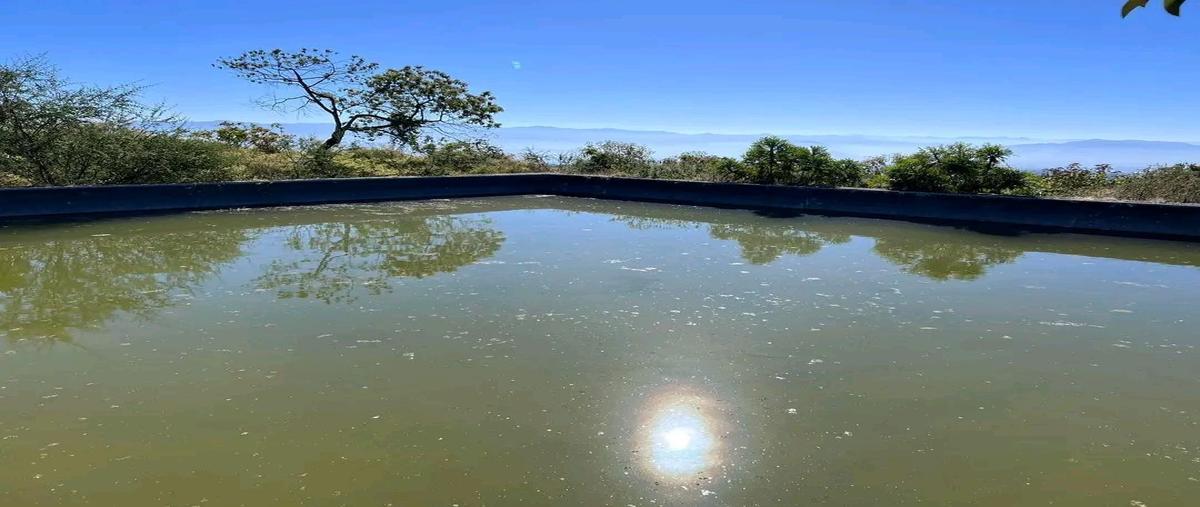 Foto de rancho en venta en quesería , cuauhtémoc, cuauhtémoc, colima, 27615297 No. 05