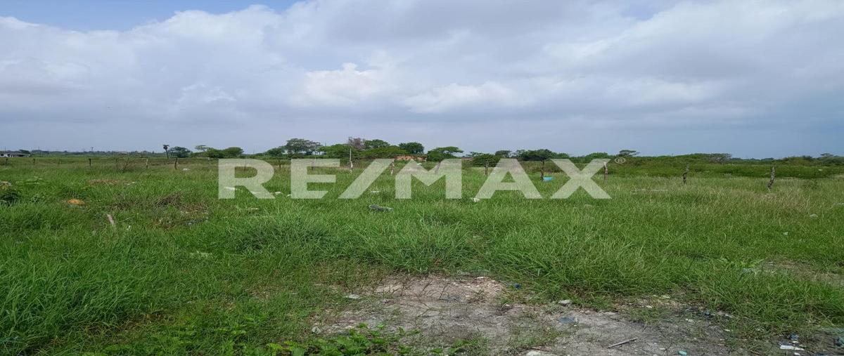 Foto de terreno habitacional en venta en quetzal s/n , santa elena, altamira, tamaulipas, 0 No. 04
