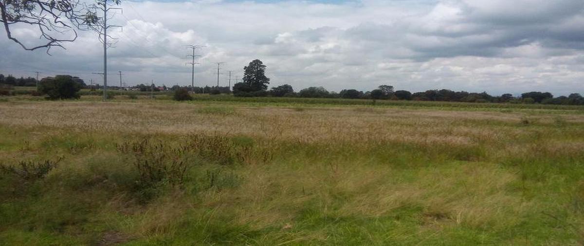 Foto de terreno habitacional en venta en  , quiahuixtla norte, santa isabel xiloxoxtla, tlaxcala, 0 No. 03