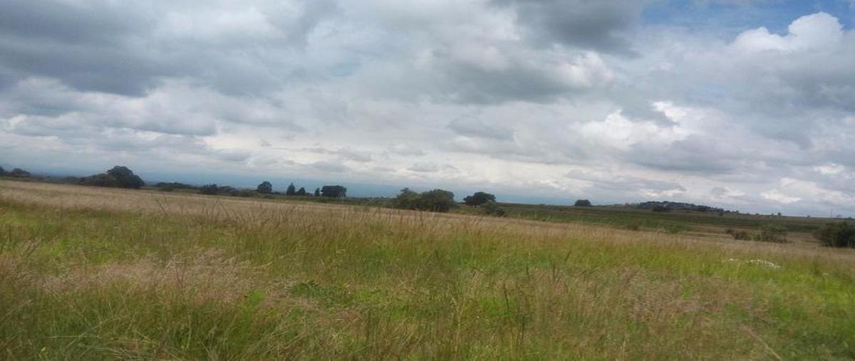 Foto de terreno habitacional en venta en  , quiahuixtla norte, santa isabel xiloxoxtla, tlaxcala, 0 No. 04