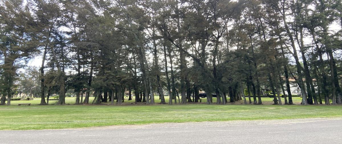 Foto de terreno habitacional en venta en  , quiahuixtla norte, santa isabel xiloxoxtla, tlaxcala, 29457244 No. 03