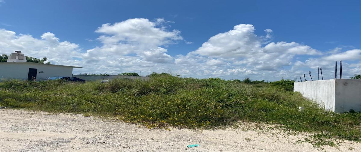 Foto de terreno habitacional en venta en quinta avenida , 17 de enero, ciudad madero, tamaulipas, 29531950 No. 03