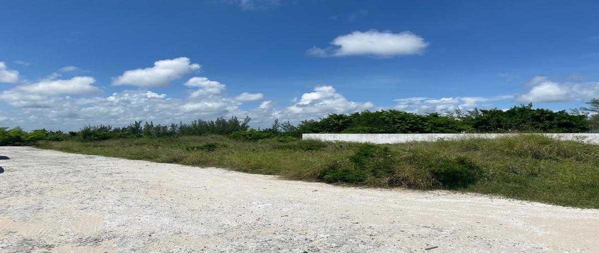 Foto de terreno habitacional en venta en quinta avenida , 17 de enero, ciudad madero, tamaulipas, 29531950 No. 04