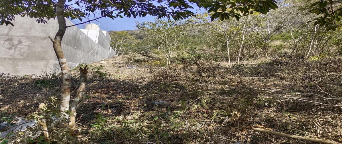 Foto de terreno habitacional en quinta carmelita , san fernando centro, san fernando, chiapas, 0 foto 03 Foto de terreno habitacional en venta en quinta carmelita , san fernando centro, san fernando, chiapas, 0 No. 03