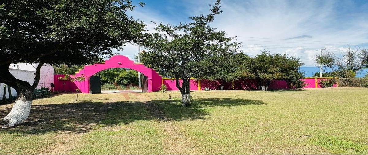 Foto de rancho en venta en quinta carolina, lote 42 camino al sauz, 42, la haciendita, cadereyta jiménez, nuevo león, 30356906 No. 05
