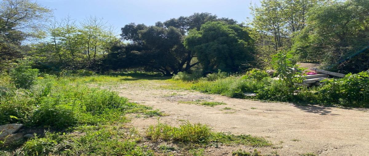 Foto de terreno habitacional en quinta don carlos , balcones de la presa, ensenada, baja california, 27817347 foto 05 Foto de terreno habitacional en venta en quinta don carlos , balcones de la presa, ensenada, baja california, 27817347 No. 05