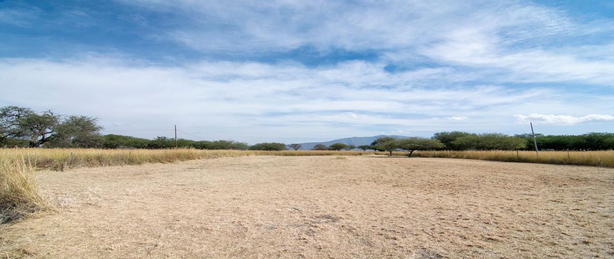 Foto de terreno habitacional en venta en quinta iris 7 patios , atotonilco el bajo, villa corona, jalisco, 30776798 No. 03