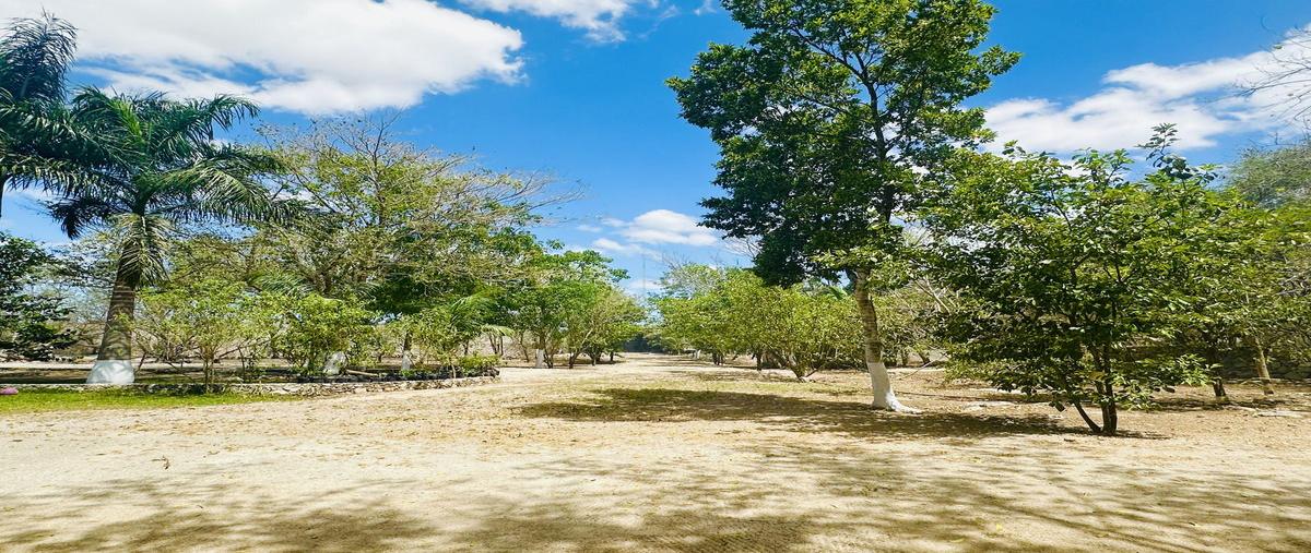 Foto de casa en venta en quinta kilometro 25 carretera mérida progreso , paraíso, mérida, yucatán, 30130567 No. 04