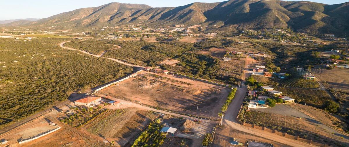 Foto de terreno comercial en venta en quinta las rosas , villa de juárez (san antonio de las minas), ensenada, baja california, 27438408 No. 03