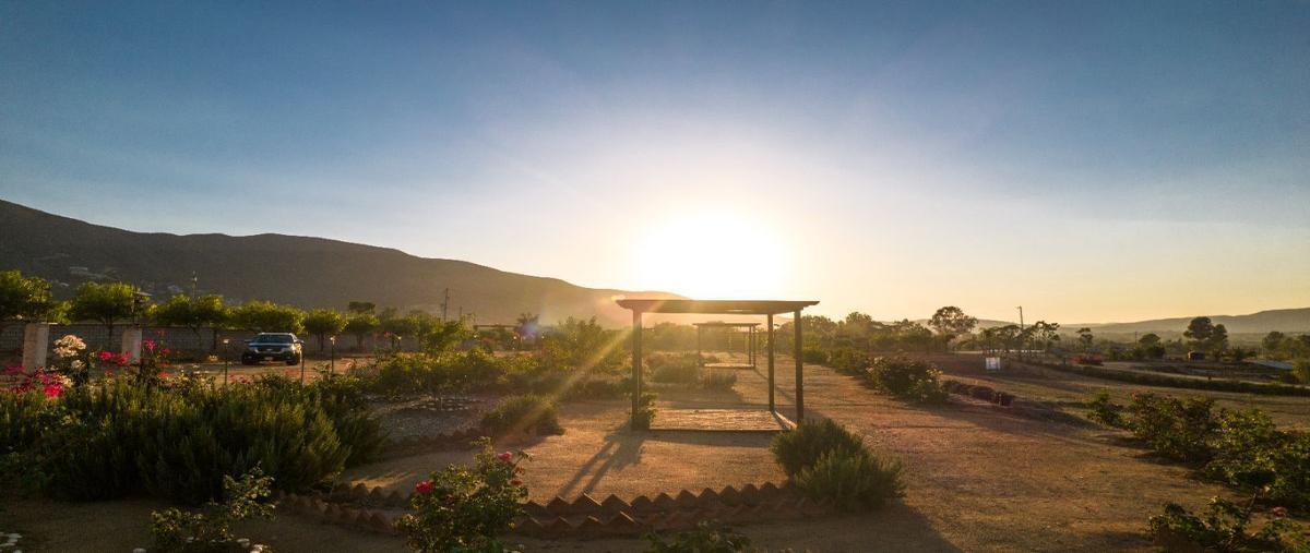 Foto de terreno comercial en venta en quinta las rosas , villa de juárez (san antonio de las minas), ensenada, baja california, 27438408 No. 04