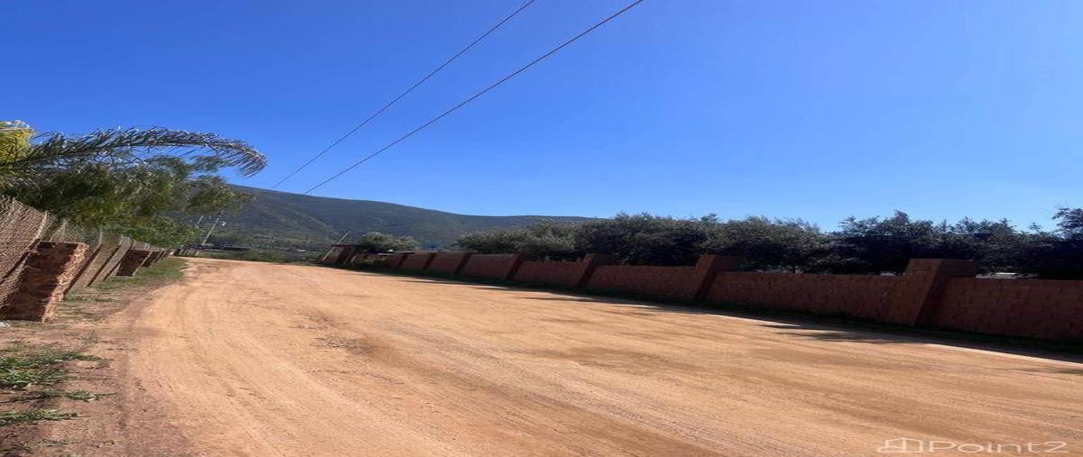 Foto de terreno comercial en venta en quinta las rosas , villa de juárez (san antonio de las minas), ensenada, baja california, 27457411 No. 03