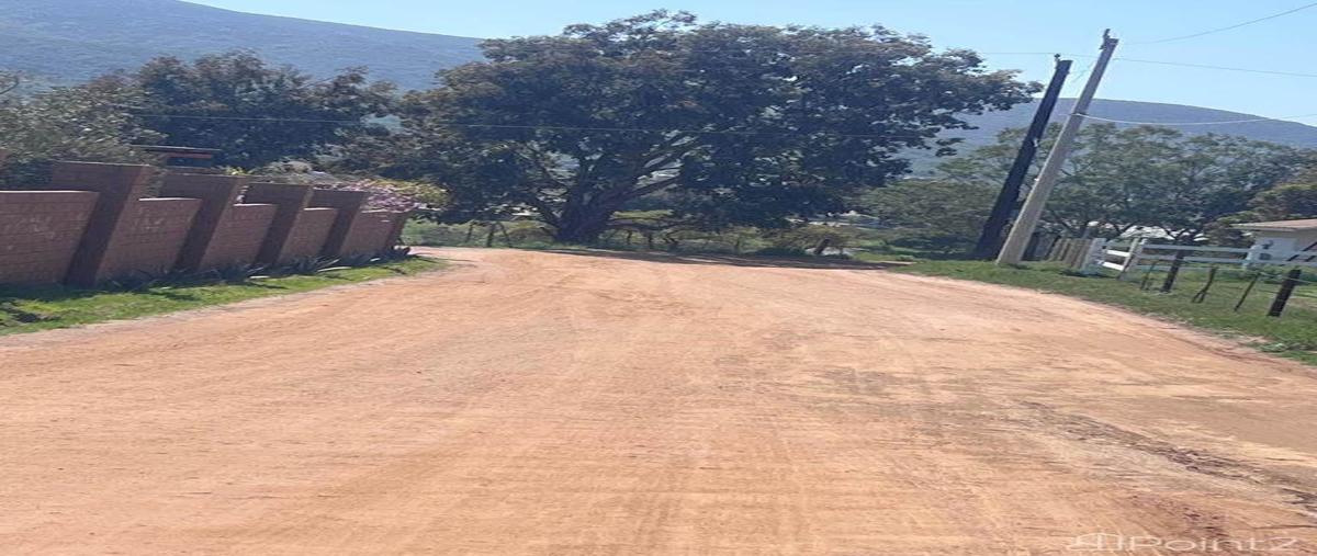 Foto de terreno comercial en venta en quinta las rosas , villa de juárez (san antonio de las minas), ensenada, baja california, 27457411 No. 05