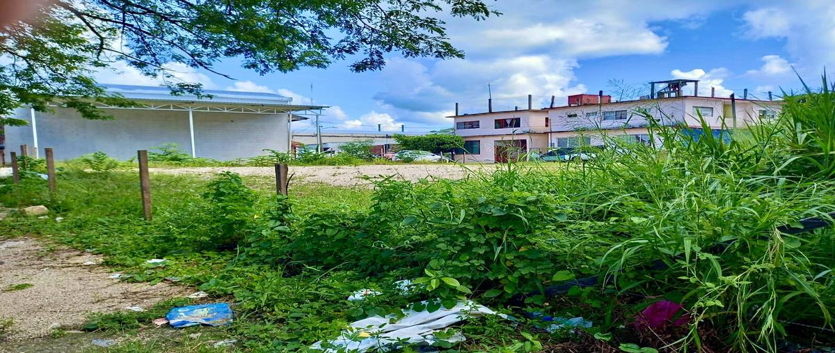 Foto de oficina en quinta poniente , la esperanza, palenque, chiapas, 30061475 foto 02 Foto de oficina en venta en quinta poniente , la esperanza, palenque, chiapas, 30061475 No. 02