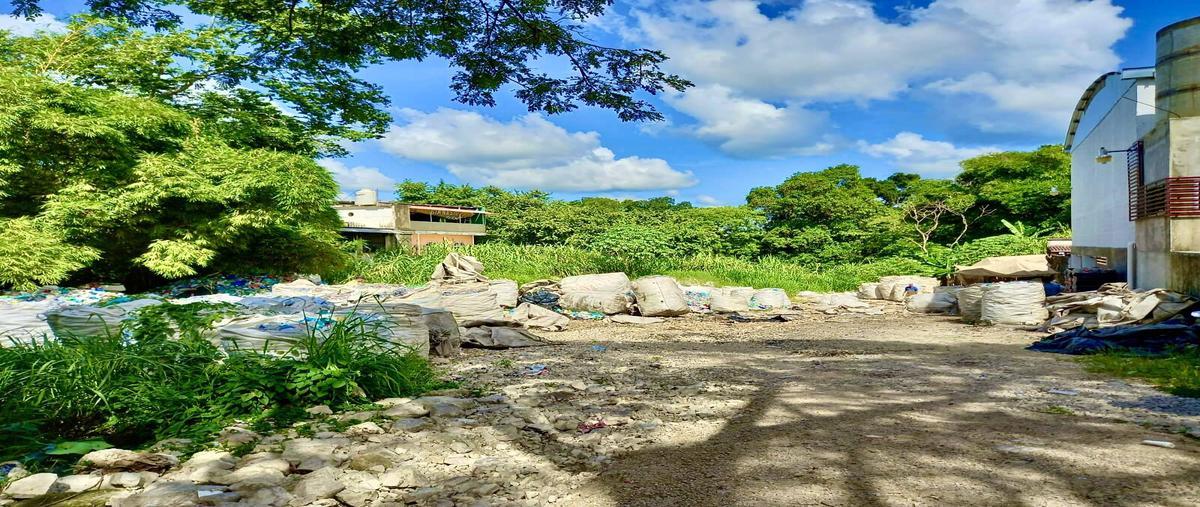 Foto de oficina en quinta poniente , la esperanza, palenque, chiapas, 30061475 foto 03 Foto de oficina en venta en quinta poniente , la esperanza, palenque, chiapas, 30061475 No. 03