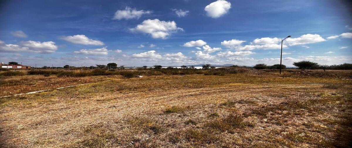 Foto de terreno habitacional en venta en quinta real , el cerrito de los chávez, san miguel de allende, guanajuato, 28144690 No. 04