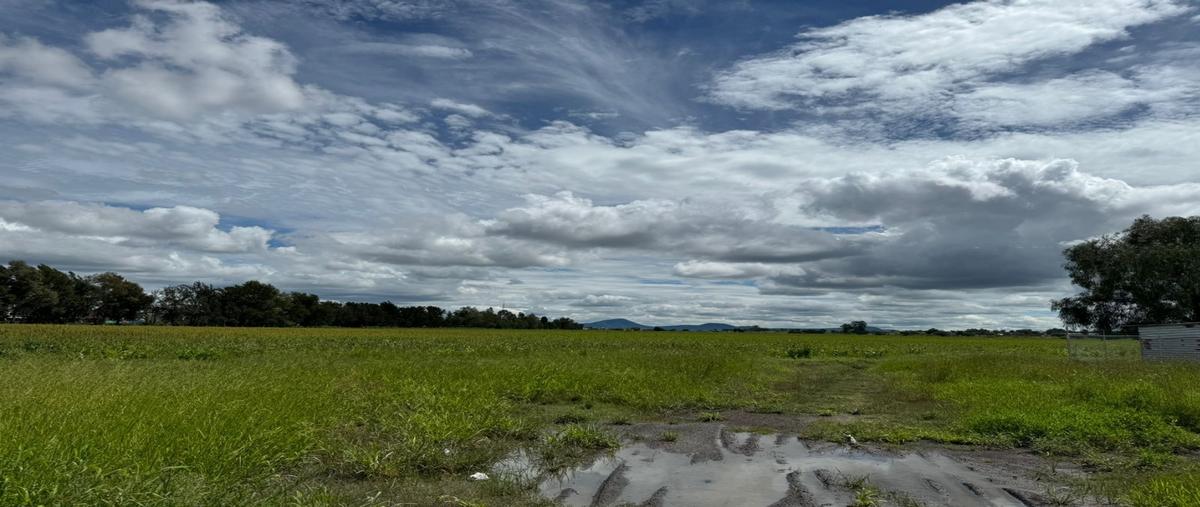 Foto de terreno habitacional en venta en  , quinta san joaquín, irapuato, guanajuato, 29479744 No. 03
