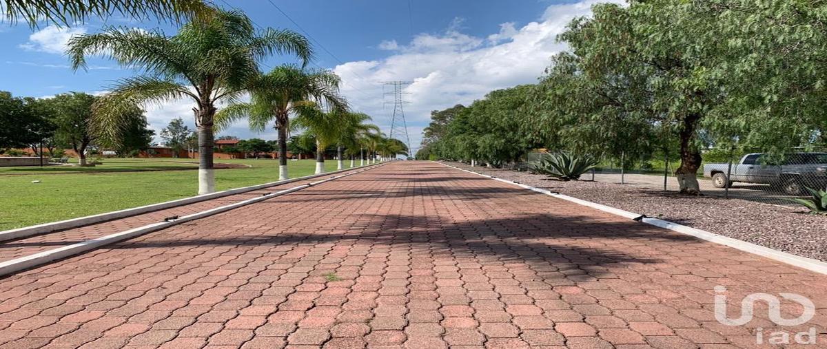 Foto de rancho en venta en quinta san martin , santa cruz de la presa, aguascalientes, aguascalientes, 31742557 No. 05