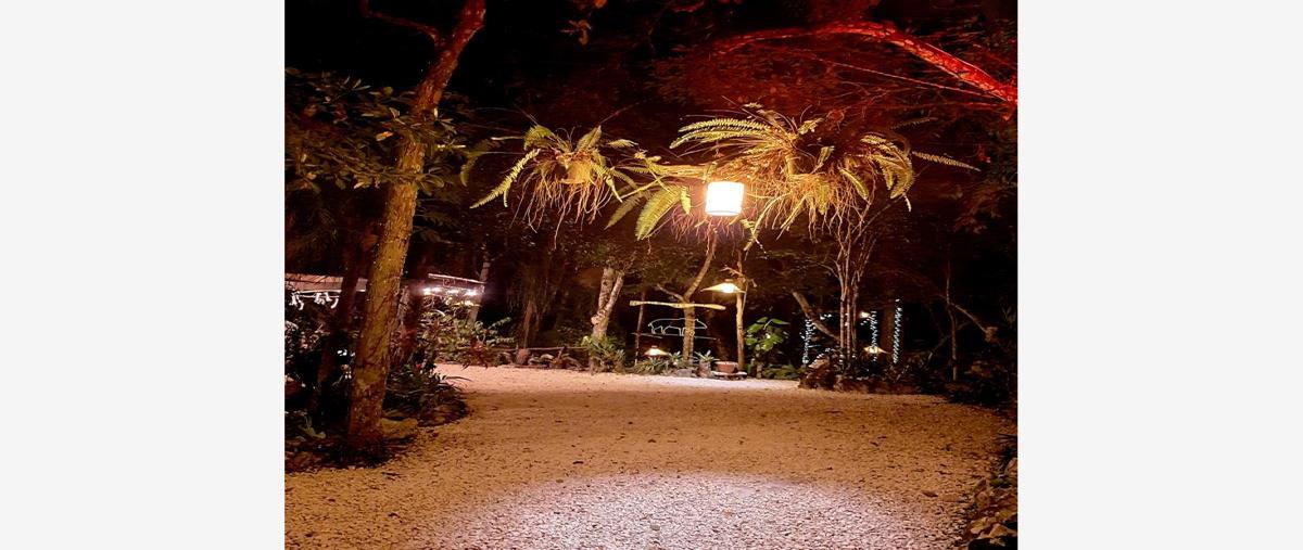 Foto de terreno habitacional en venta en quintana roo puerto morelos - leona vicario 1, puerto morelos, puerto morelos, quintana roo, 0 No. 05