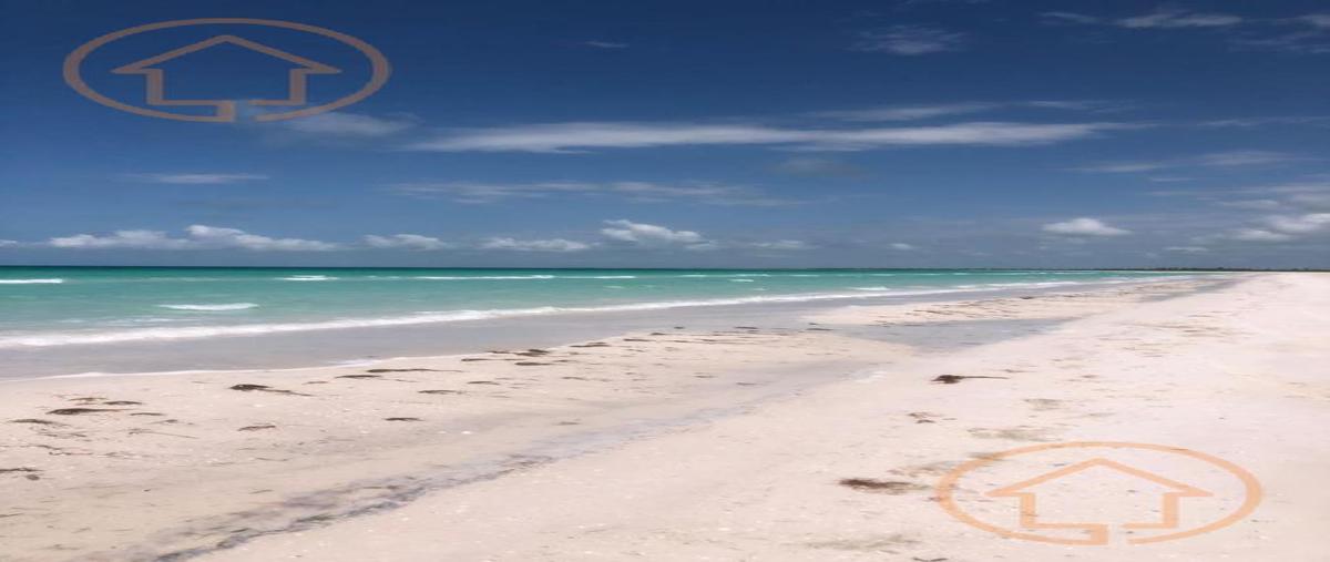 Foto de terreno habitacional en venta en  , quintana roo, quintana roo, yucatán, 29550911 No. 04