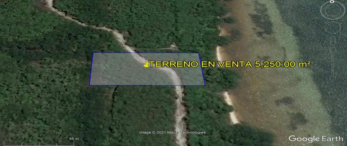 Foto de terreno habitacional en , quintana roo, quintana roo, yucatán, 0 foto 04 Foto de terreno habitacional en venta en , quintana roo, quintana roo, yucatán, 0 No. 04