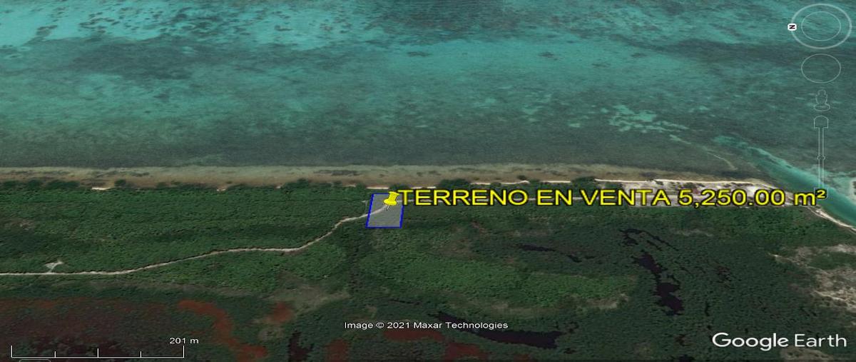 Foto de terreno habitacional en , quintana roo, quintana roo, yucatán, 0 foto 05 Foto de terreno habitacional en venta en , quintana roo, quintana roo, yucatán, 0 No. 05