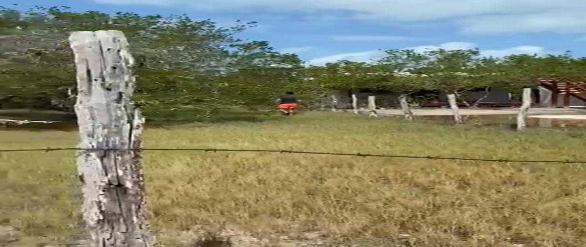 Foto de terreno habitacional en , quintana roo, quintana roo, yucatán, 0 foto 04 Foto de terreno habitacional en venta en , quintana roo, quintana roo, yucatán, 0 No. 04