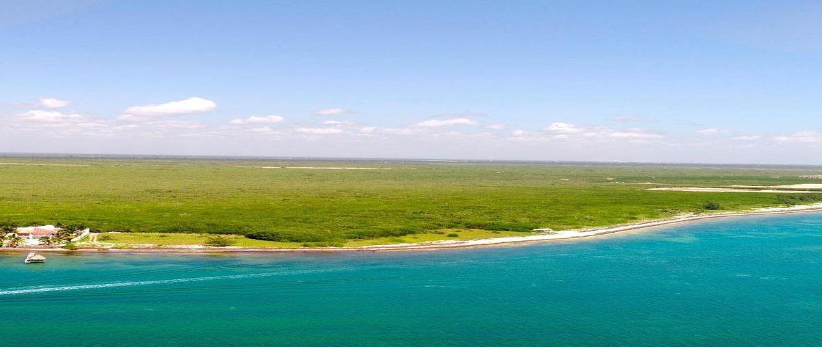 Foto de terreno habitacional en venta en  , quintana roo, quintana roo, yucatán, 0 No. 03