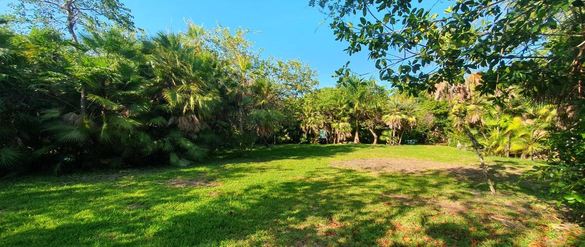 Foto de terreno habitacional en venta en  , quintana roo, quintana roo, yucatán, 0 No. 03