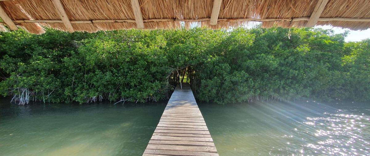 Foto de terreno habitacional en venta en  , quintana roo, quintana roo, yucatán, 0 No. 05