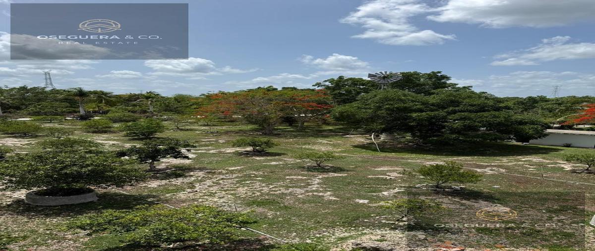 Foto de terreno habitacional en , quintana roo, quintana roo, yucatán, 30052198 foto 03 Foto de terreno habitacional en venta en , quintana roo, quintana roo, yucatán, 30052198 No. 03