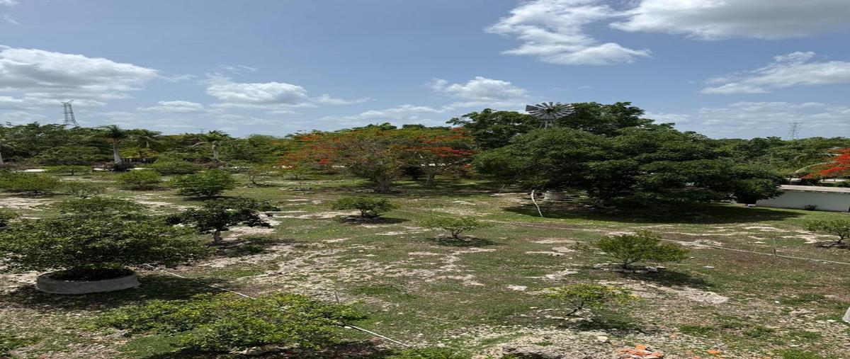 Foto de terreno habitacional en venta en  , quintana roo, quintana roo, yucatán, 0 No. 03