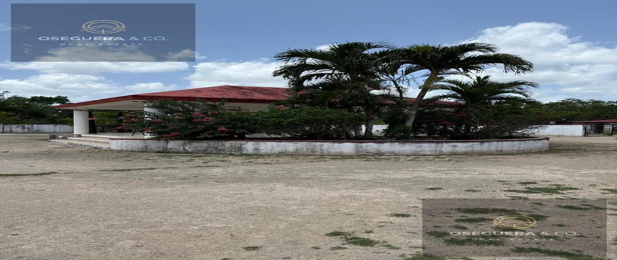 Foto de terreno habitacional en , quintana roo, quintana roo, yucatán, 30052198 foto 04 Foto de terreno habitacional en venta en , quintana roo, quintana roo, yucatán, 30052198 No. 04