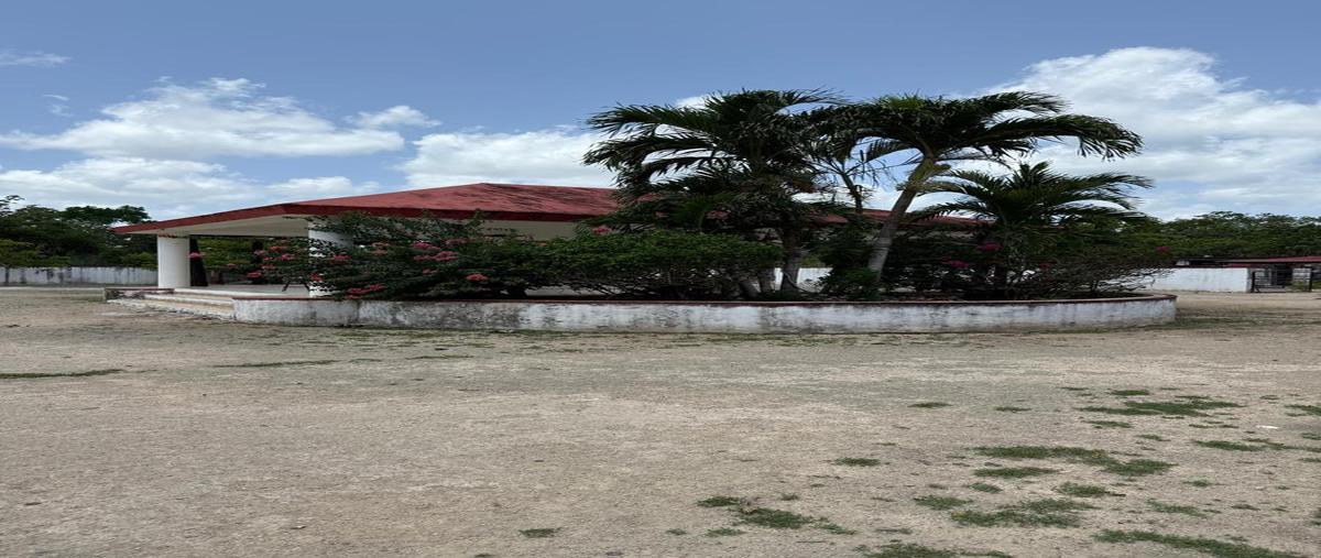 Foto de terreno habitacional en venta en  , quintana roo, quintana roo, yucatán, 0 No. 04