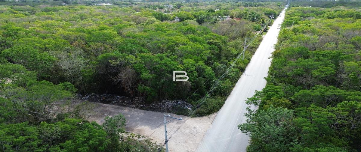 Foto de casa en , quintana roo, quintana roo, yucatán, 0 foto 04 Foto de casa en venta en , quintana roo, quintana roo, yucatán, 0 No. 04