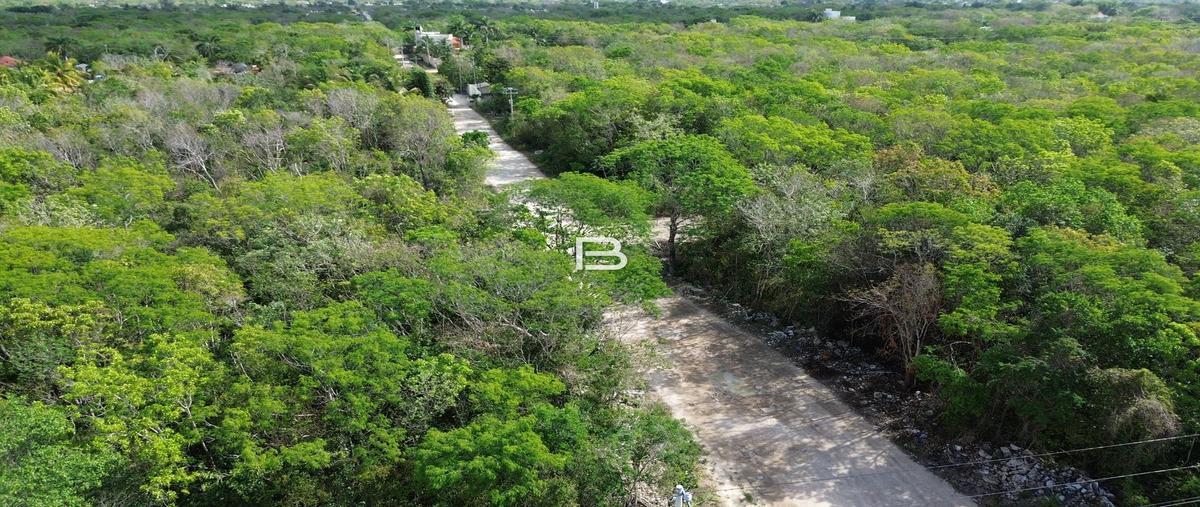 Foto de casa en , quintana roo, quintana roo, yucatán, 0 foto 05 Foto de casa en venta en , quintana roo, quintana roo, yucatán, 0 No. 05