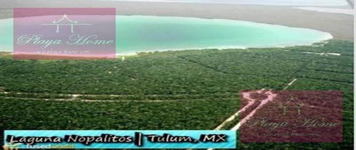 Foto de terreno habitacional en , quintana roo, quintana roo, yucatán, 0 foto 01 Foto de terreno habitacional en venta en , quintana roo, quintana roo, yucatán, 0 No. 01