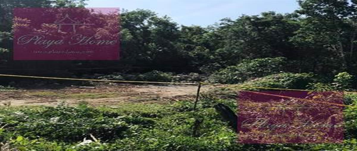 Foto de terreno habitacional en , quintana roo, quintana roo, yucatán, 31226948 foto 03 Foto de terreno habitacional en venta en , quintana roo, quintana roo, yucatán, 31226948 No. 03
