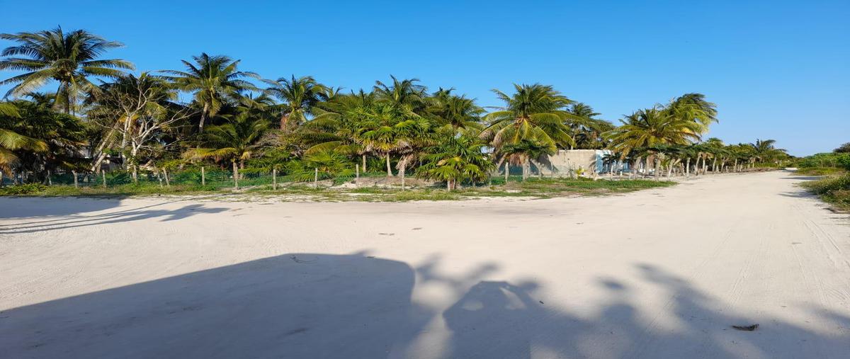 Foto de terreno habitacional en , quintana roo, quintana roo, yucatán, 31338134 foto 01 Foto de terreno habitacional en venta en , quintana roo, quintana roo, yucatán, 31338134 No. 01