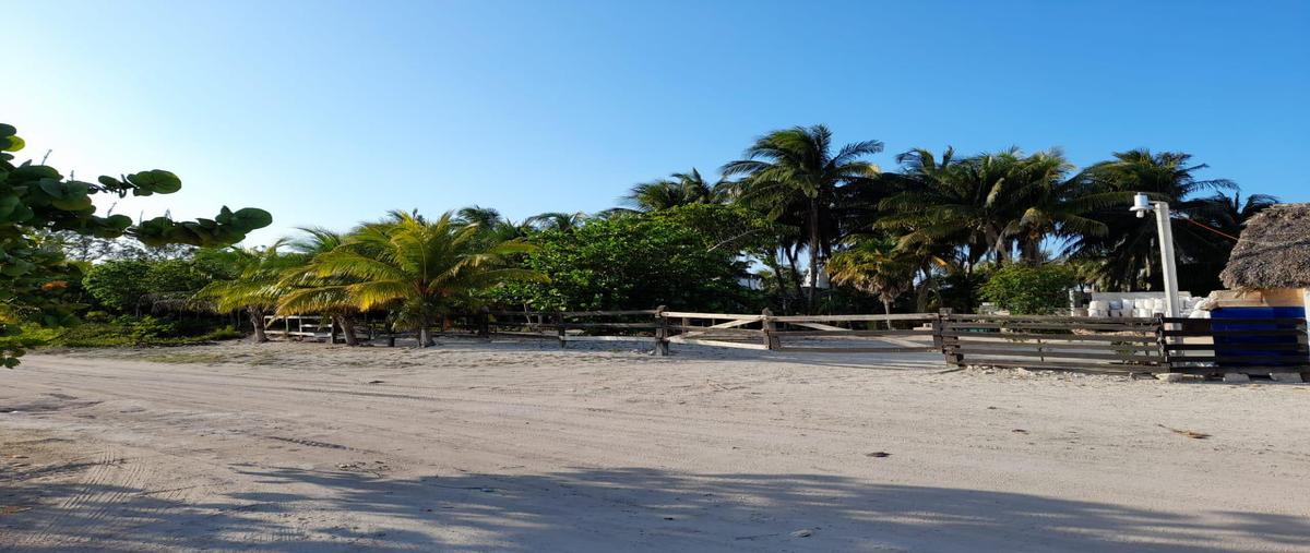 Foto de terreno habitacional en , quintana roo, quintana roo, yucatán, 31338134 foto 02 Foto de terreno habitacional en venta en , quintana roo, quintana roo, yucatán, 31338134 No. 02